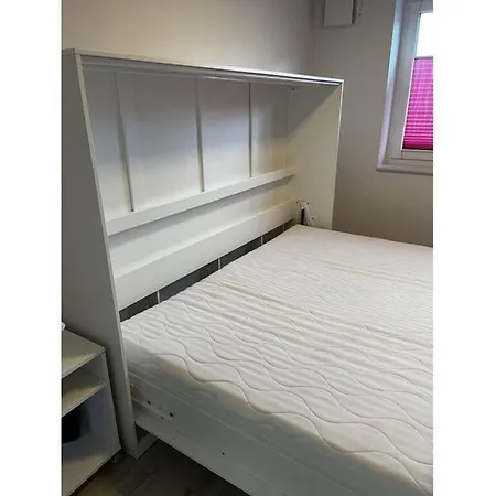 Pink Cow Modern Retreat